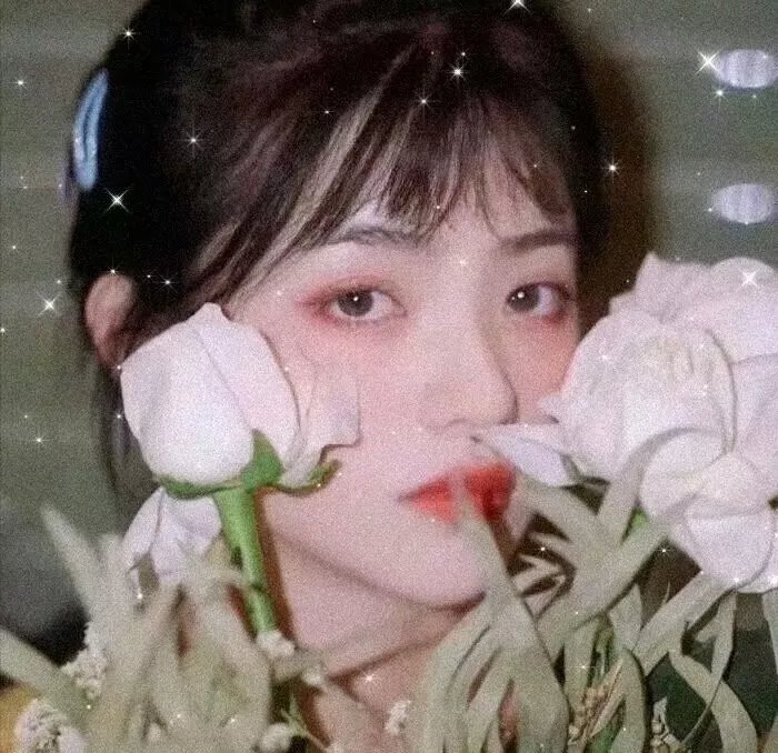 纪录综艺